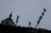 dsc06284_small.jpg