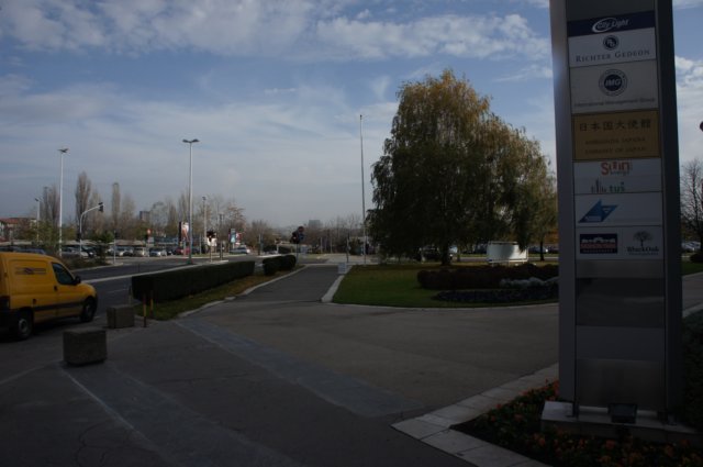 dsc06444.jpg