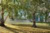 dsc06453_small.jpg