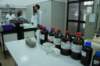 dsc06644_small.jpg