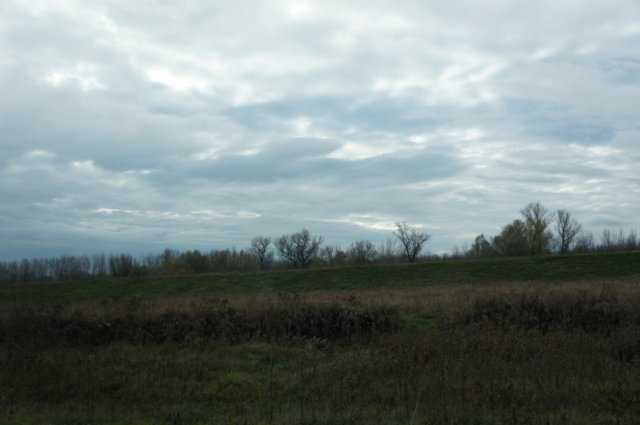 dsc06905.jpg