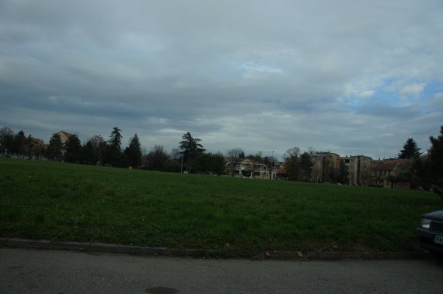 dsc06929.jpg