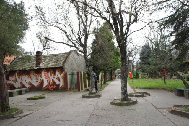 dsc07022.jpg