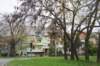 dsc07037_small.jpg