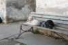 dsc07219_small.jpg