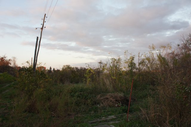 dsc07225.jpg