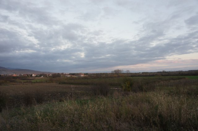 dsc07241.jpg