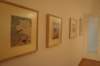 dsc07342_small.jpg