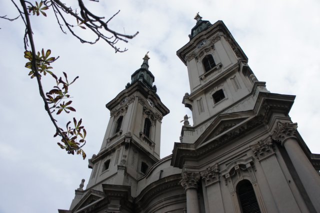 dsc06906.jpg