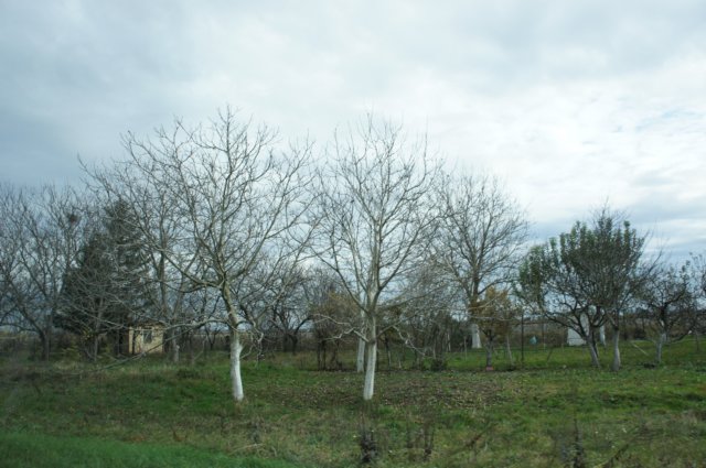dsc07044.jpg