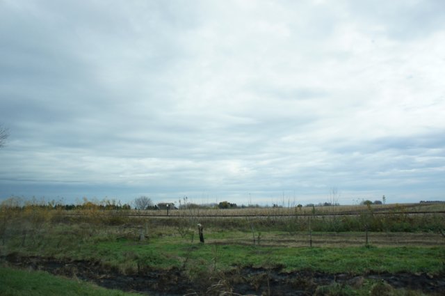 dsc07047.jpg