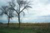 dsc07048_small.jpg