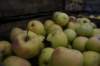dsc07082_small.jpg