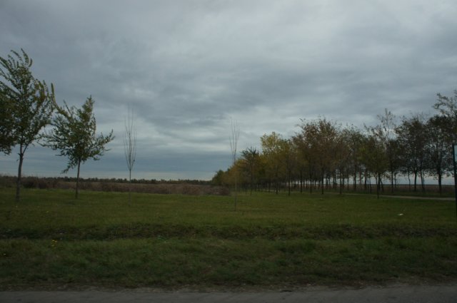 dsc07104.jpg
