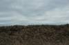 dsc07107_small.jpg