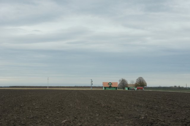 dsc07113.jpg