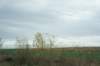 dsc07114_small.jpg
