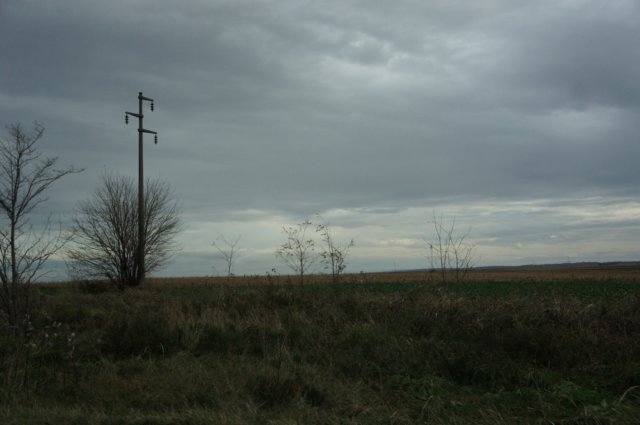 dsc07115.jpg