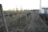 dsc07160_small.jpg