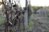 dsc07161_small.jpg