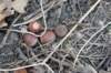 dsc07163_small.jpg