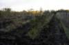 dsc07165_small.jpg
