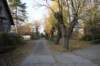 dsc07177_small.jpg