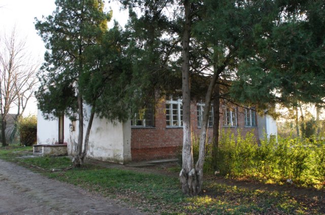 dsc07184.jpg
