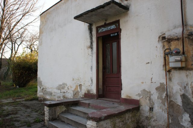dsc07187.jpg