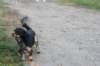 dsc07190_small.jpg