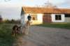 dsc07191_small.jpg