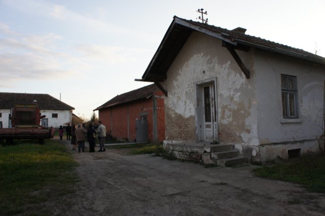 dsc07194.jpg
