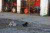dsc07196_small.jpg