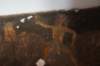 dsc07199_small.jpg