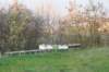 dsc07226_small.jpg