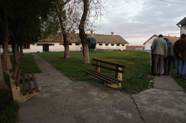dsc07228.jpg