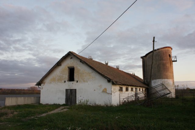 dsc07234.jpg