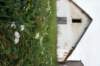 dsc07237_small.jpg