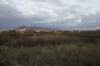 dsc07242_small.jpg