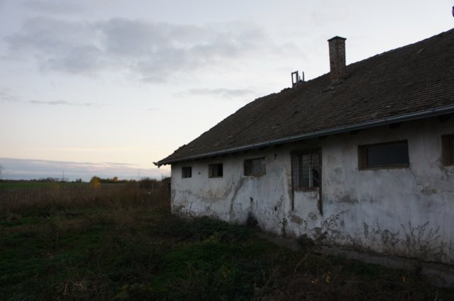 dsc07249.jpg