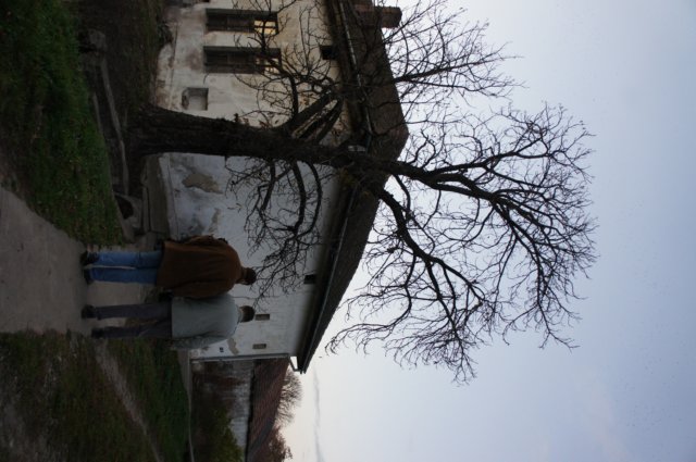 dsc07253.jpg