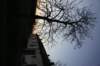 dsc07254_small.jpg