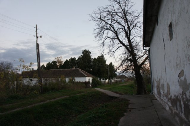 dsc07257.jpg