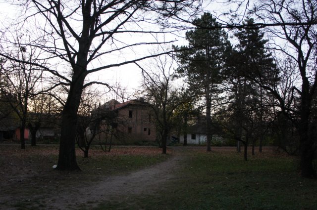 dsc07261.jpg