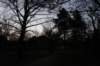 dsc07262_small.jpg