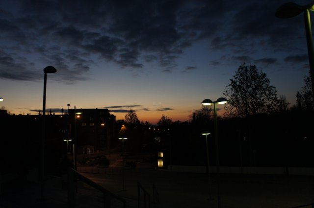 dsc07266.jpg