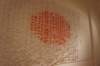 dsc07339_small.jpg