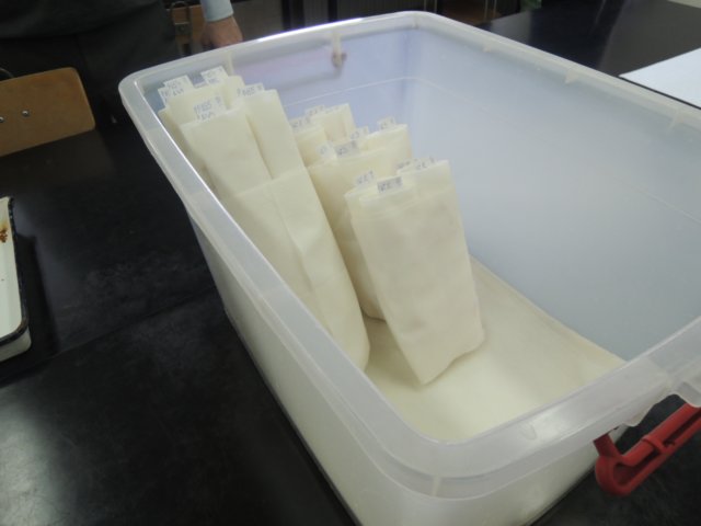 dscn4792.jpg