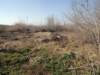 dscn4800_small.jpg
