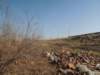 dscn4803_small.jpg